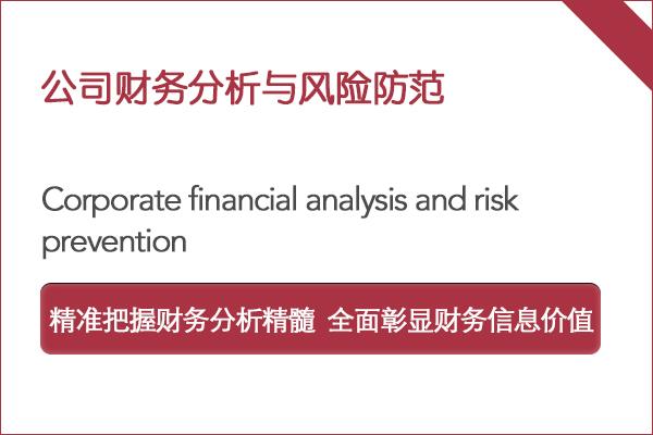 公司财务分析与风险防范
