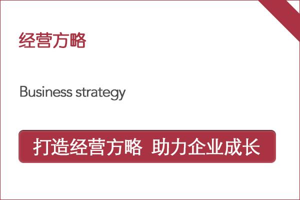 北京大学经营方略
